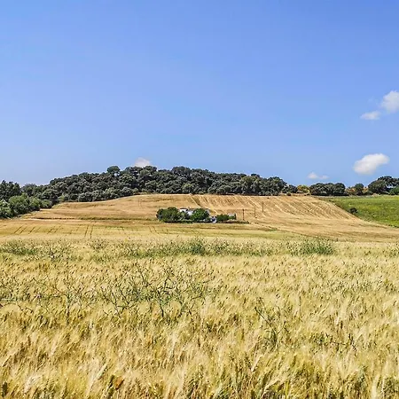 Amazing In With House A Panoramic View Ronda